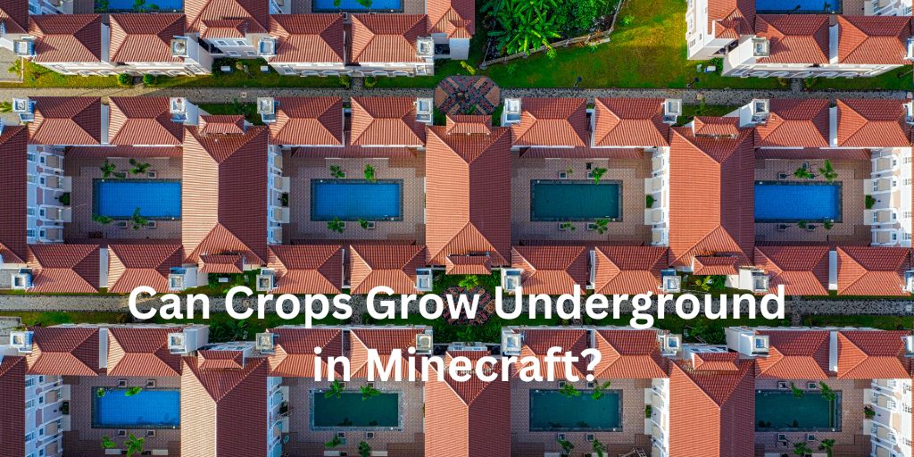Can Crops Grow Underground in Minecraft